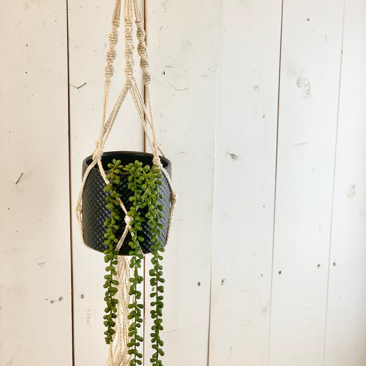 Ivory Crisscross Macramé Hanger