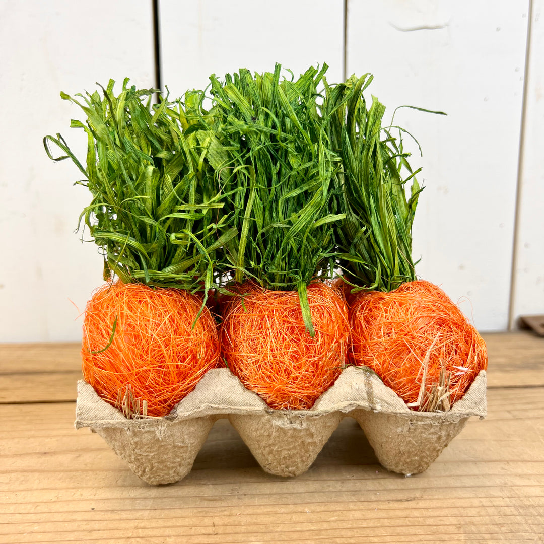 Handcrafted Carrots in Carton