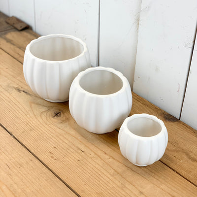 Matte White Ribbed Vases