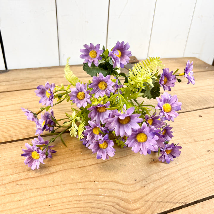 Daisy Bundles