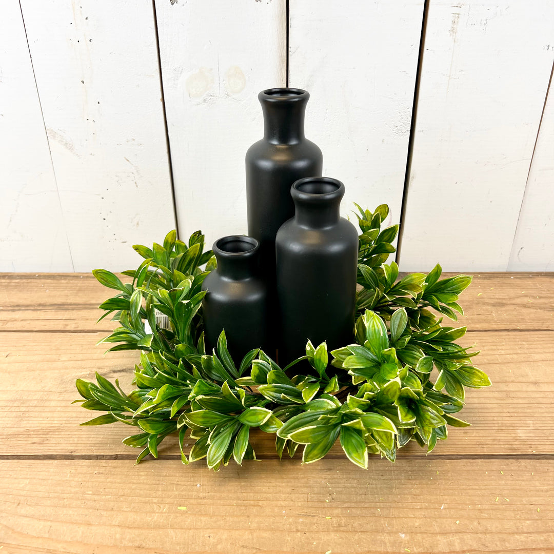 Privet Collection