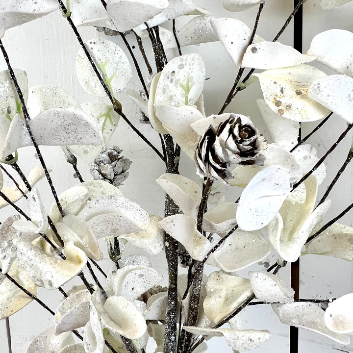 White Eucalyptus Collection