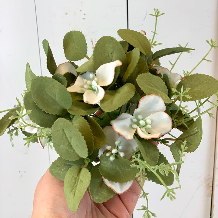 Dogwood Floral Collection