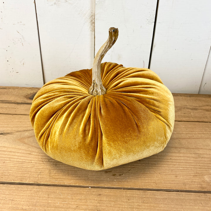 Velvet Pumpkins