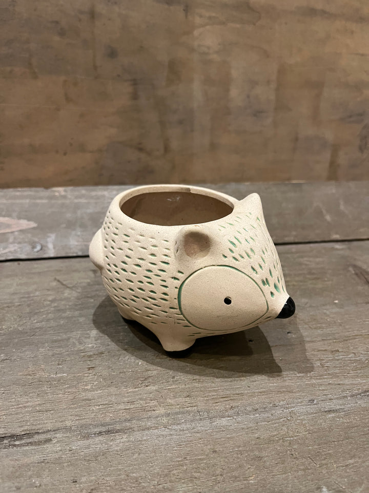 Kitschy Hedgehog Planter